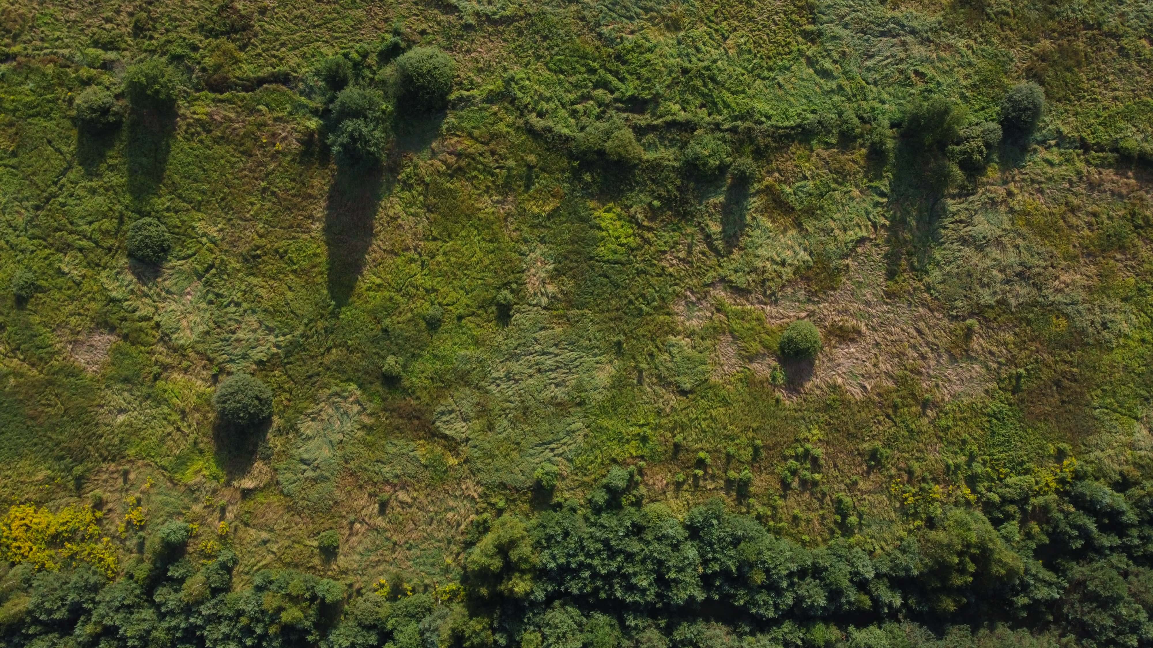 Aerial view of land
